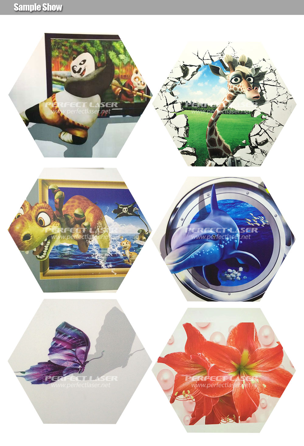 Imagen Mural perfecta de la in - Industrial Laser Printing Machine reseña y precio